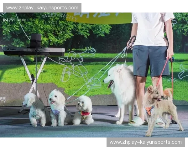 西班牙队赛程:激情连连,追随斗牛士的每一步 西班牙队赛程:激情连连,追随斗牛士的每一步